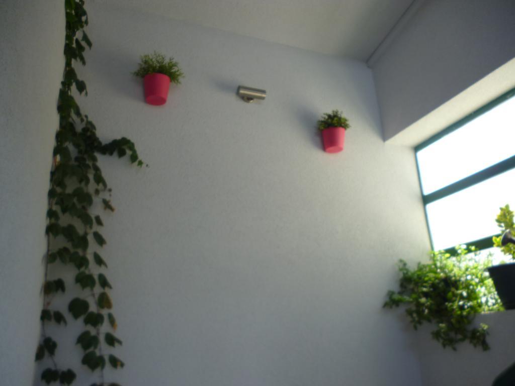 Apartment Duje Makarska Exterior photo